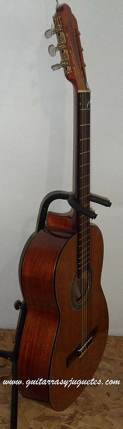 Guitarra fina de Paloescrito con pinabete modelo MDPE de Paracho Vista 10